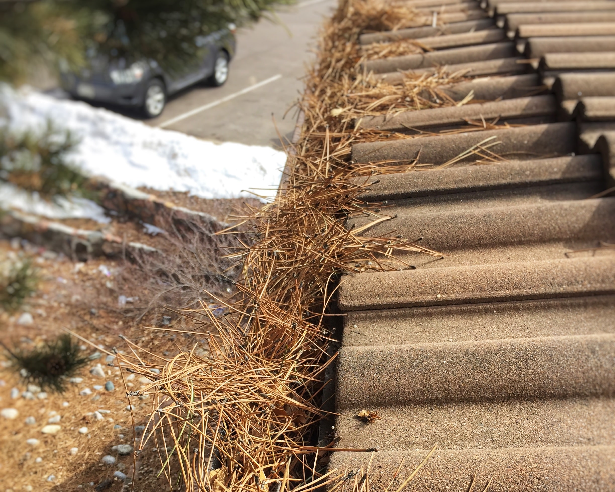 how frequently should i get my gutters cleaned.jpg
